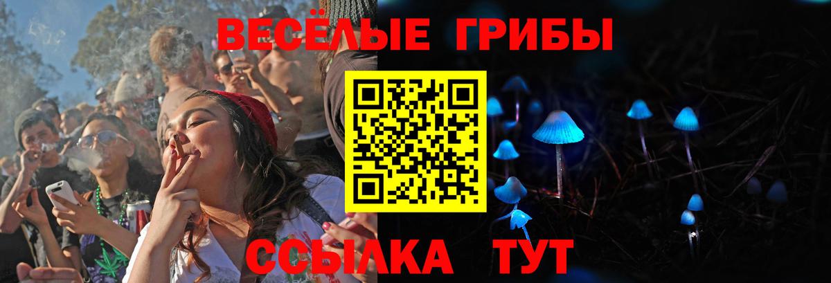 Саки  Галлюциногенные грибы Psilocybine cubensis  закладка  Псилоцибиновые грибы Cubensis  Вход с VPN 